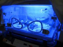 incubator chamber